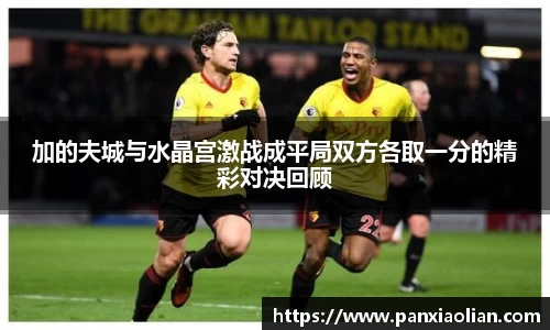 竞技宝加的夫城与水晶宫激战成平局双方各取一分的精彩对决回顾